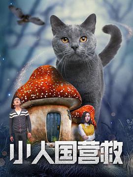 国产在线播放一区二区