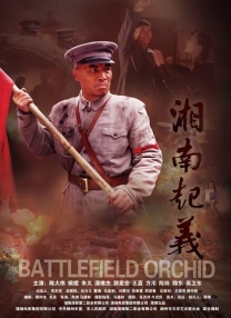 三浦惠理子在线视频