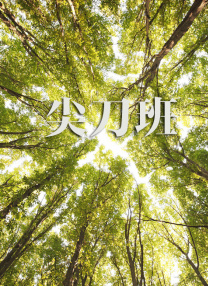 亚洲视频观看